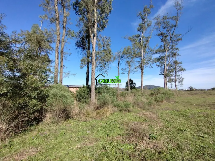 Foto 9 de Terreno / Lote à venda, 1500m2 em Diácono João Luiz Pozzobon, Santa Maria - RS