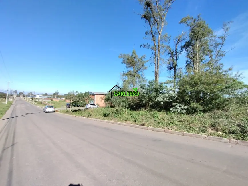 Foto 4 de Terreno / Lote à venda, 1500m2 em Diácono João Luiz Pozzobon, Santa Maria - RS