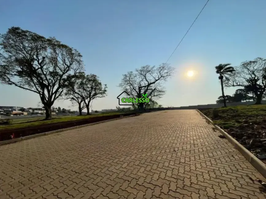 Foto 2 de Terreno / Lote à venda, 382m2 em São Cristóvão, Passo Fundo - RS