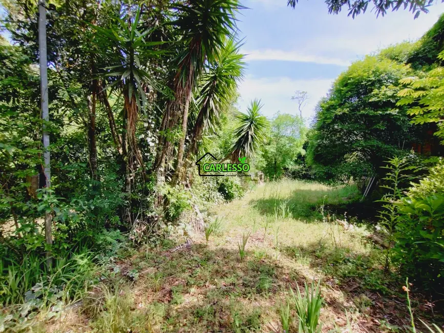 Foto 3 de Terreno / Lote à venda, 1100m2 em Itaara - RS