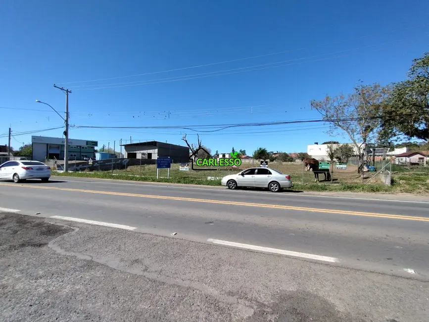 Foto 7 de Terreno / Lote à venda, 9200m2 em Camobi, Santa Maria - RS