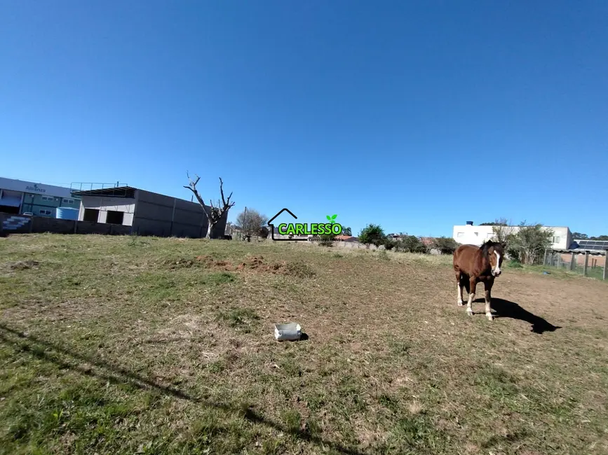 Foto 3 de Terreno / Lote à venda, 9200m2 em Camobi, Santa Maria - RS