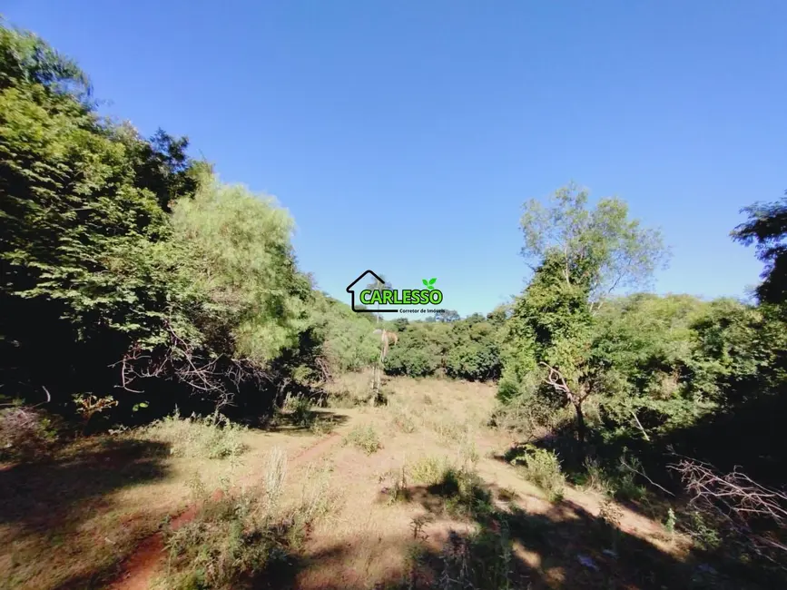 Foto 4 de Chácara com 3 quartos à venda, 70m2 em Sao Martinho Da Serra - RS