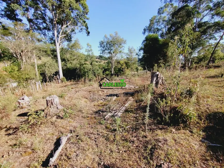 Foto 5 de Chácara com 3 quartos à venda, 70m2 em Sao Martinho Da Serra - RS