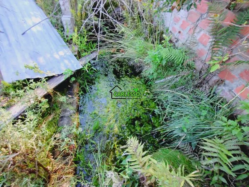 Foto 3 de Chácara com 3 quartos à venda, 70m2 em Sao Martinho Da Serra - RS