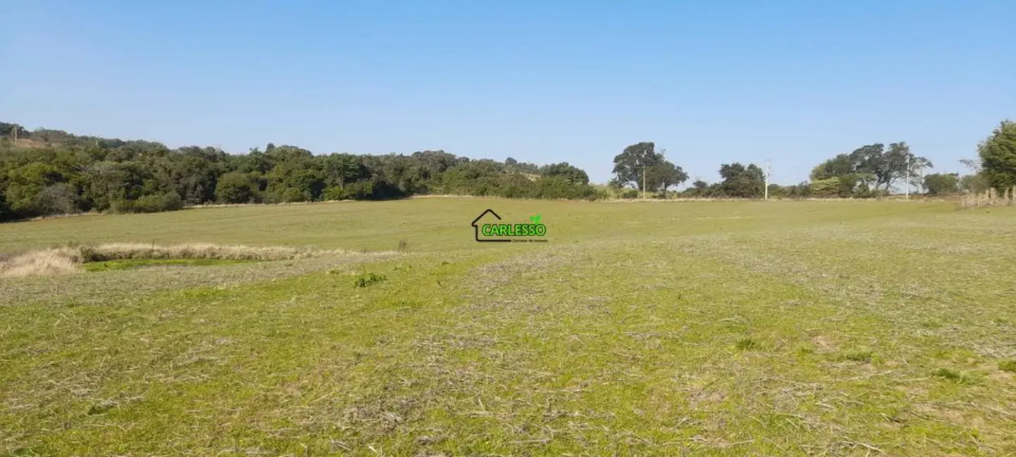 Chácara com 4 quartos à venda, 75000m2 em Dilermando De Aguiar - RS - imagem 7 Foto 7 de Chácara com 4 quartos à venda, 75000m2 em Dilermando De Aguiar - RS