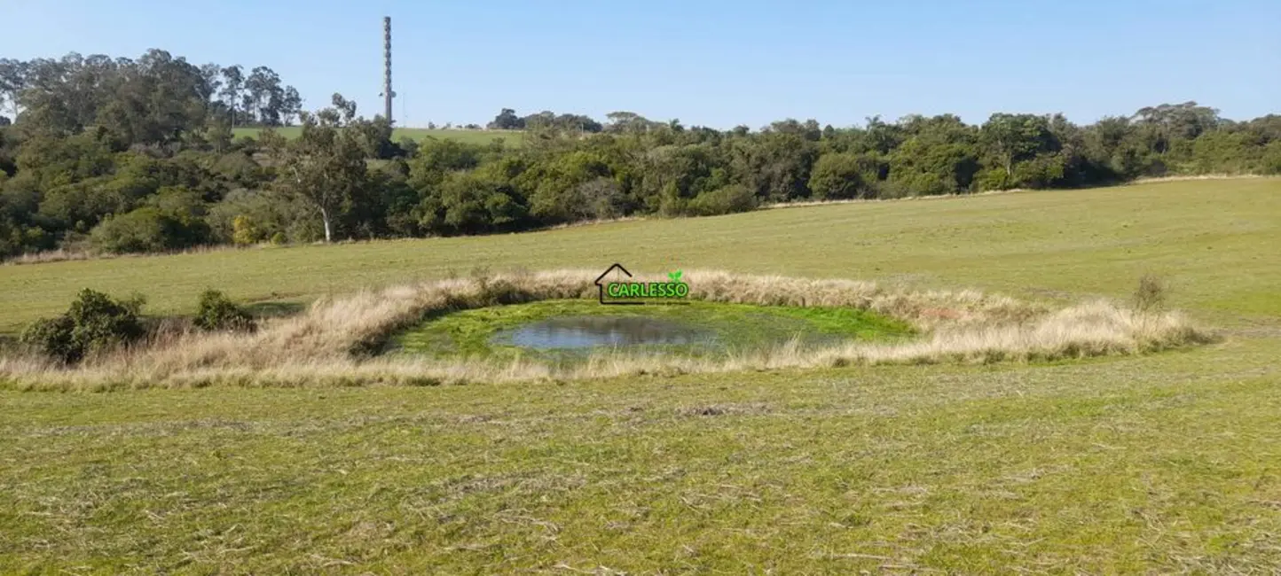 Chácara com 4 quartos à venda, 75000m2 em Dilermando De Aguiar - RS - imagem 5 Foto 5 de Chácara com 4 quartos à venda, 75000m2 em Dilermando De Aguiar - RS