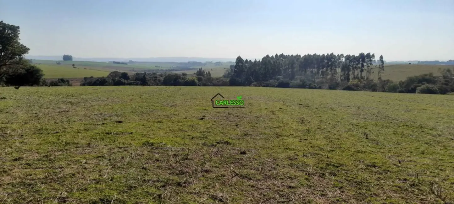 Chácara com 4 quartos à venda, 75000m2 em Dilermando De Aguiar - RS - imagem 9 Foto 9 de Chácara com 4 quartos à venda, 75000m2 em Dilermando De Aguiar - RS