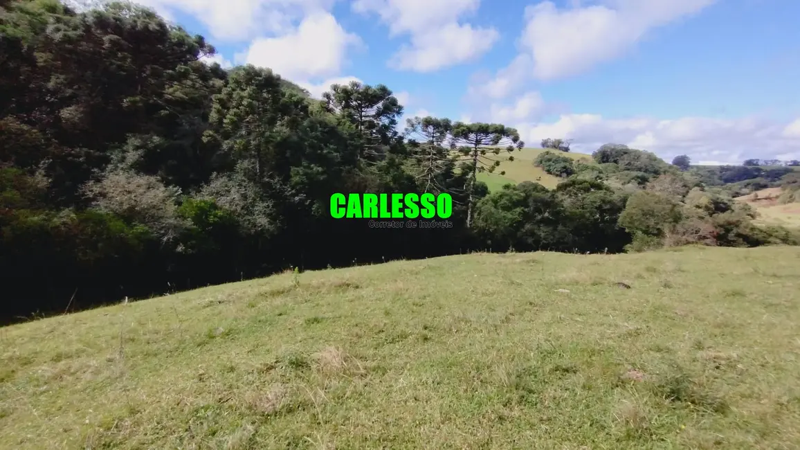 Foto 1 de Fazenda / Haras à venda, 60000m2 em Ivora - RS