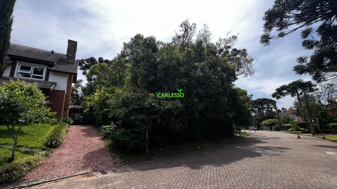 Terreno / Lote à venda, 528m2 em Canela - RS - imagem 2 Foto 2 de Terreno / Lote à venda, 528m2 em Canela - RS