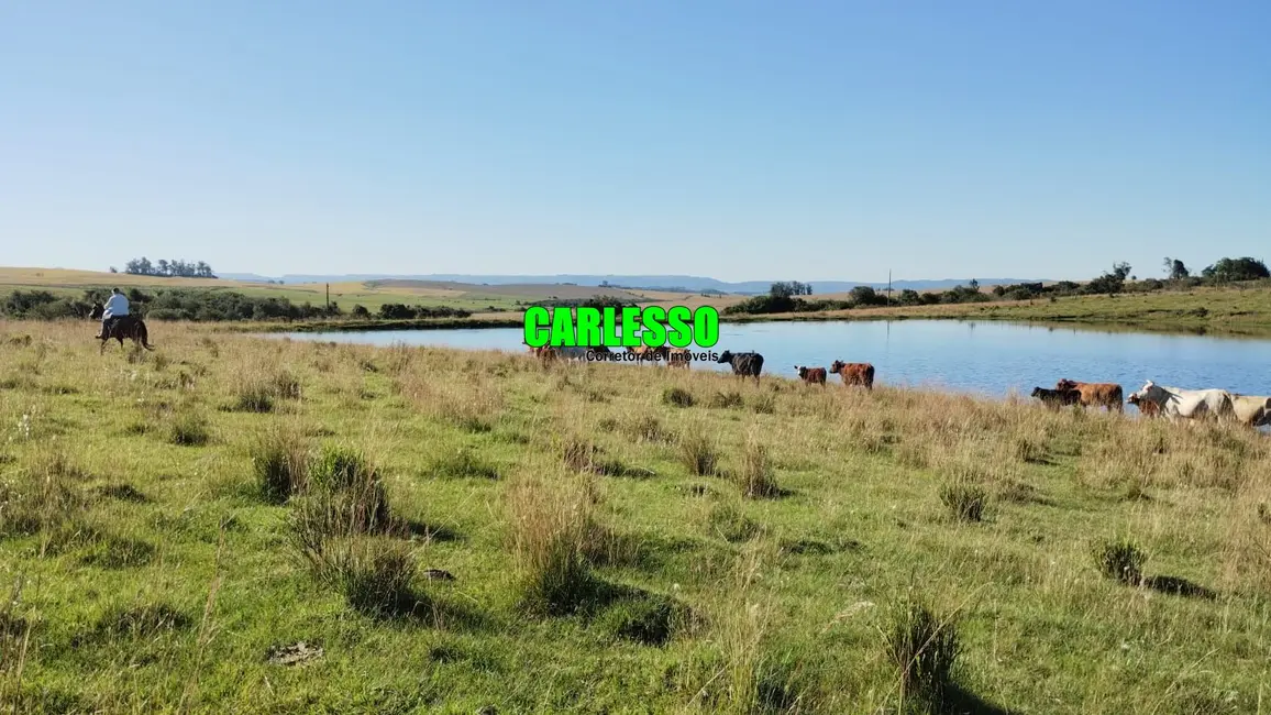 Foto 1 de Fazenda / Haras à venda, 280000m2 em Dilermando De Aguiar - RS
