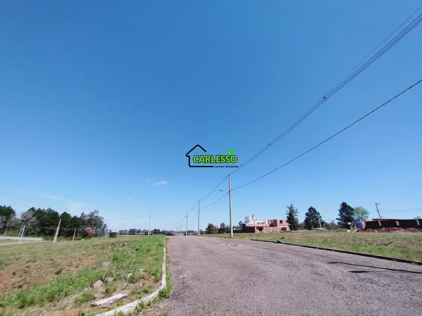 Foto 9 de Terreno / Lote à venda, 350m2 em Tomazetti, Santa Maria - RS