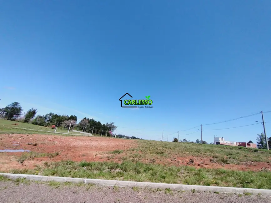 Foto 4 de Terreno / Lote à venda, 350m2 em Tomazetti, Santa Maria - RS