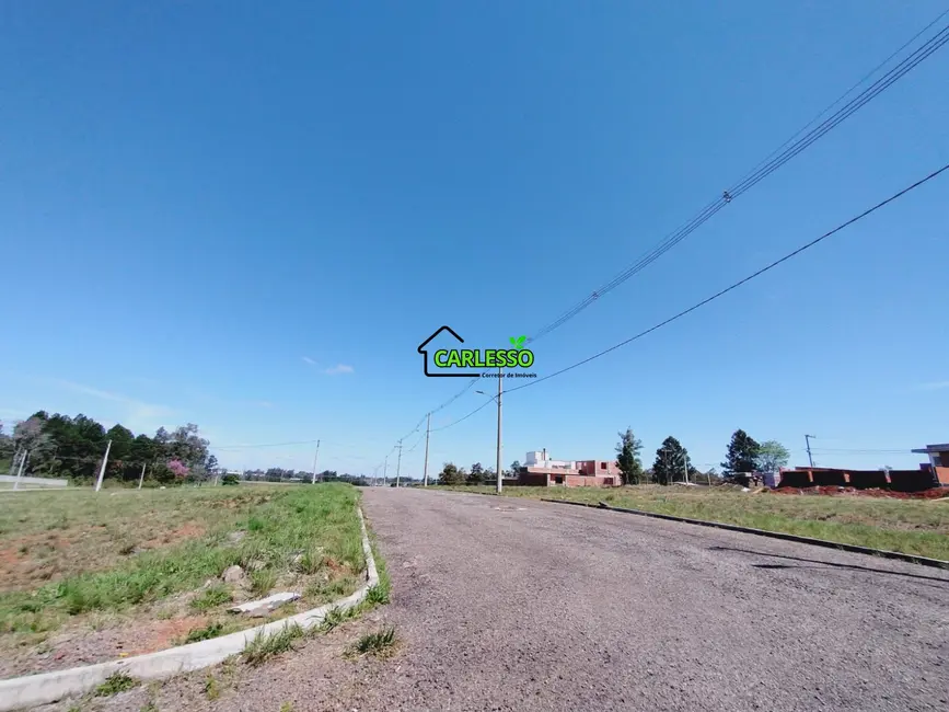 Foto 2 de Terreno / Lote à venda, 350m2 em Tomazetti, Santa Maria - RS