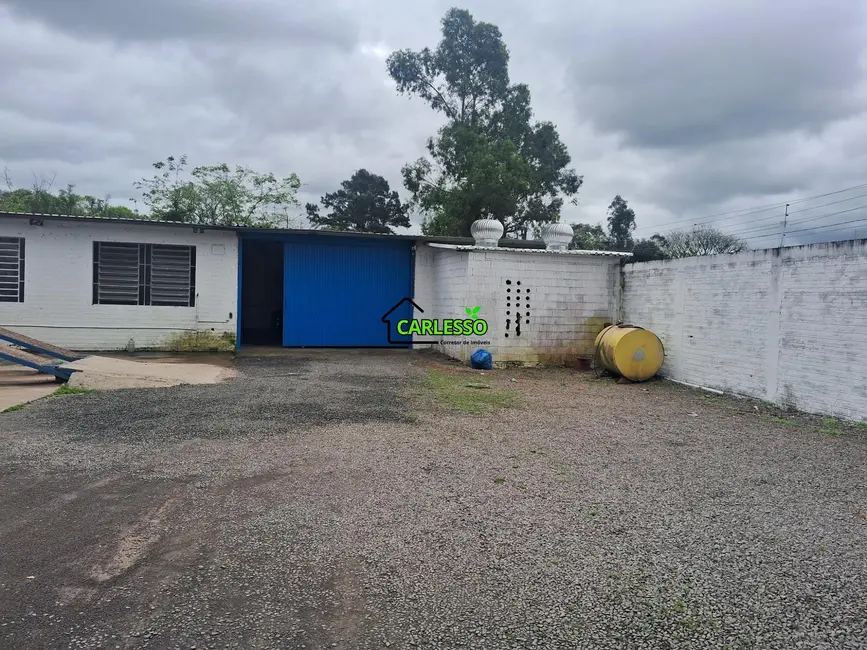 Foto 5 de Terreno / Lote à venda, 1100m2 em Santa Maria - RS