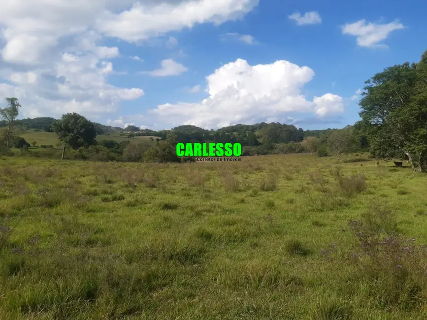 Foto 2 de Fazenda / Haras à venda, 87000m2 em Santa Maria - RS