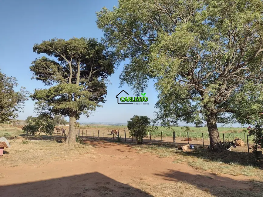 Foto 8 de Fazenda / Haras com 3 quartos à venda, 70m2 em Sao Sepe - RS