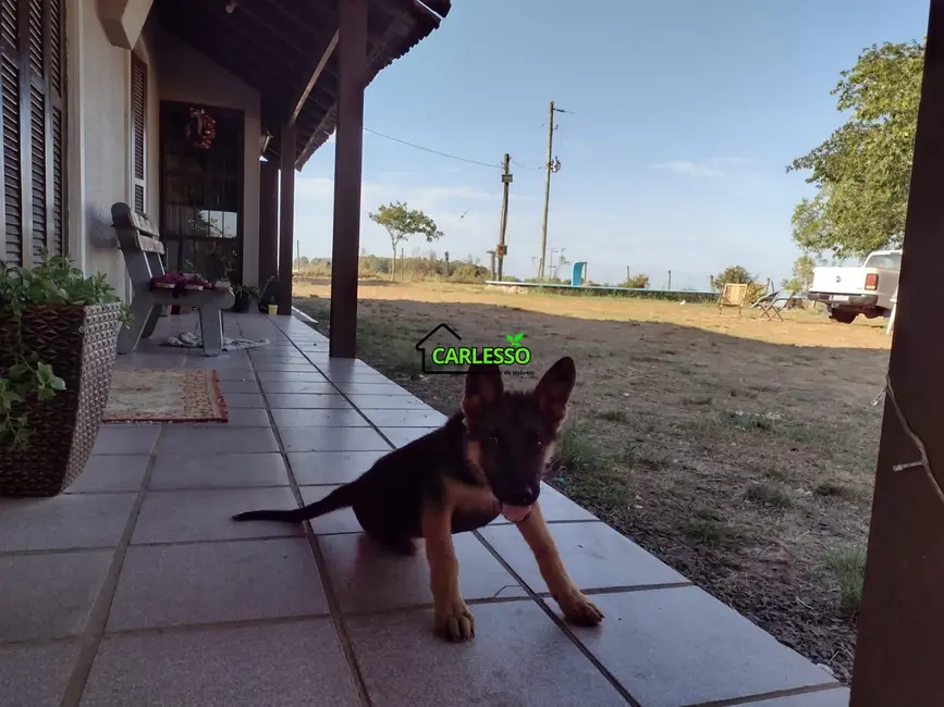 Foto 2 de Fazenda / Haras com 3 quartos à venda, 70m2 em Sao Sepe - RS