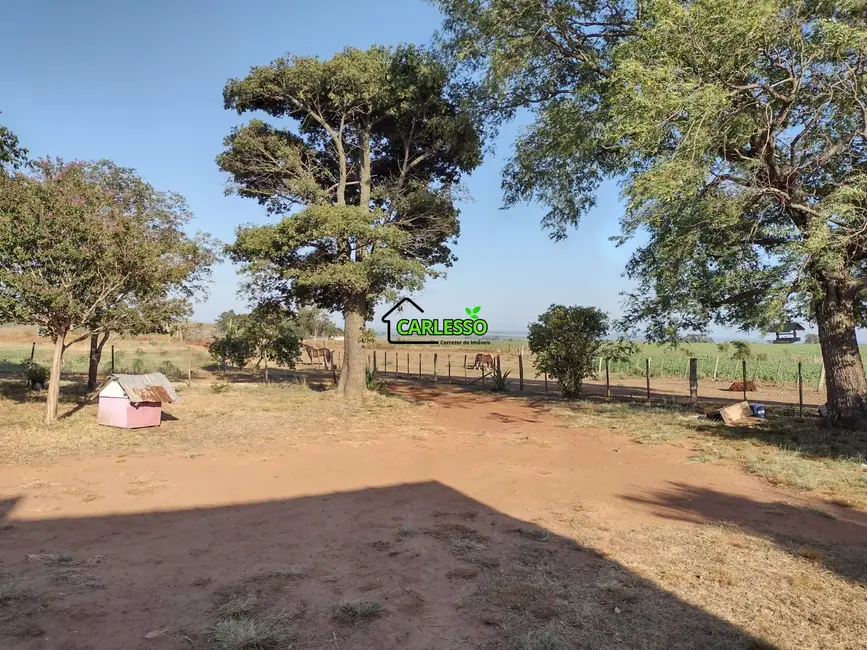 Foto 9 de Fazenda / Haras com 3 quartos à venda, 70m2 em Sao Sepe - RS