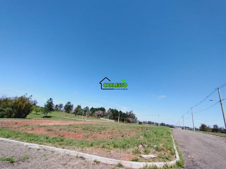 Foto 3 de Terreno / Lote à venda, 375m2 em Tomazetti, Santa Maria - RS