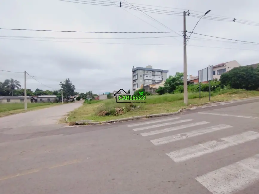Foto 2 de Terreno / Lote à venda, 1309m2 em Camobi, Santa Maria - RS