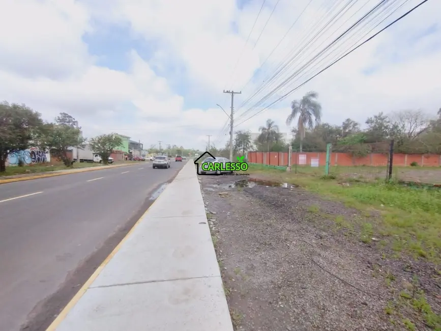 Foto 8 de Terreno / Lote à venda, 1870m2 em Santa Maria - RS