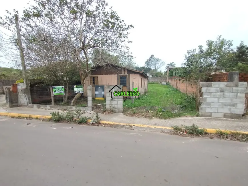 Foto 3 de Terreno / Lote à venda, 500m2 em Pinheiro Machado, Santa Maria - RS