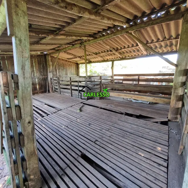 Foto 9 de Chácara com 5 quartos à venda, 200m2 em Santa Maria - RS