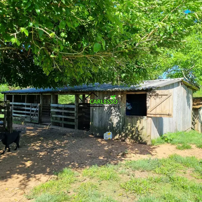 Foto 7 de Chácara com 5 quartos à venda, 200m2 em Santa Maria - RS