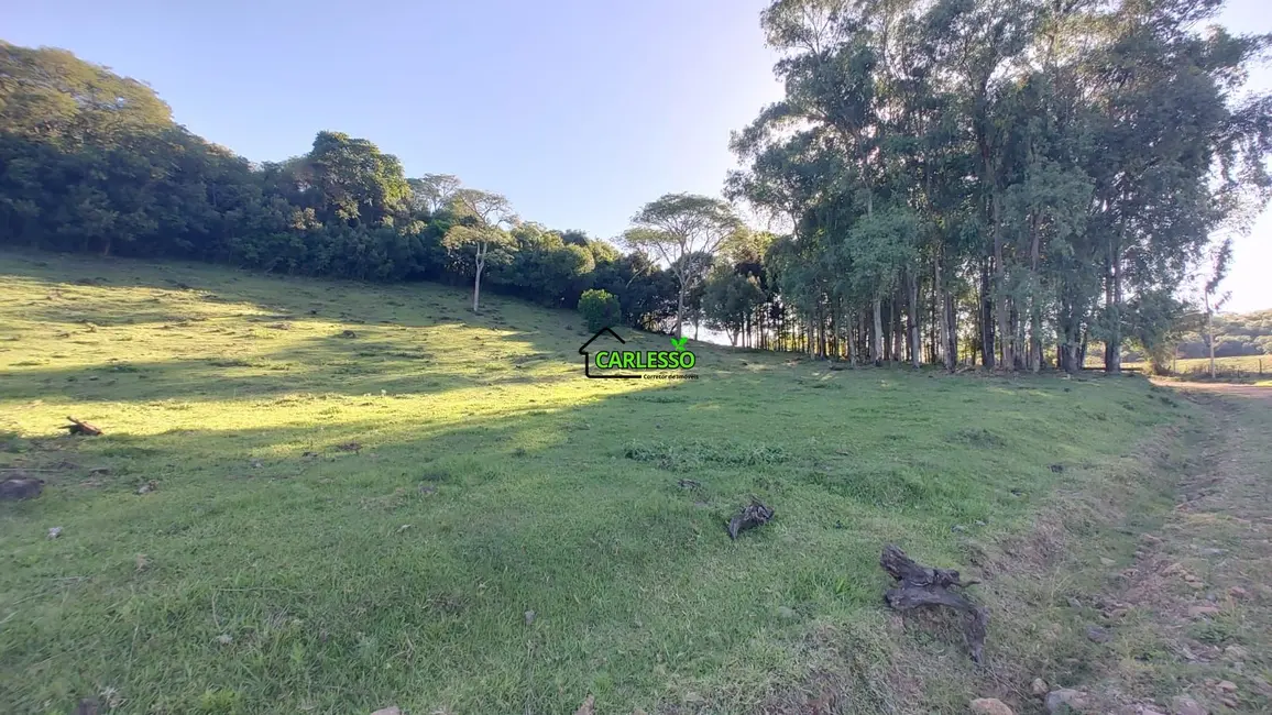 Foto 9 de Chácara com 4 quartos à venda, 60m2 em Santiago - RS