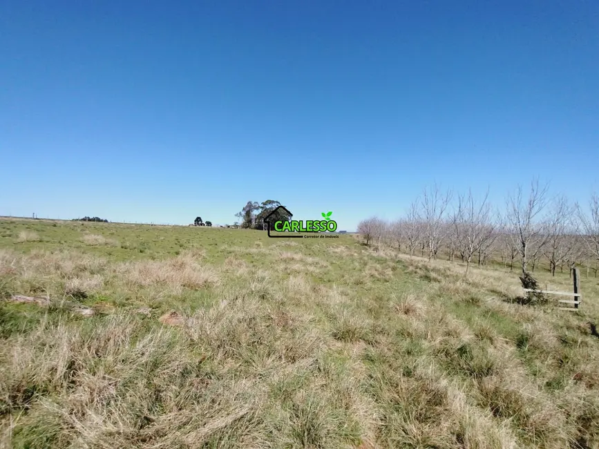 Chácara com 3 quartos à venda, 91m2 em Sao Pedro Do Sul - RS - imagem 9 Foto 9 de Chácara com 3 quartos à venda, 91m2 em Sao Pedro Do Sul - RS