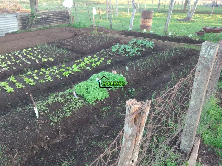 Foto 9 de Fazenda / Haras com 2 quartos à venda, 100m2 em Área Rural de Uruguaiana, Uruguaiana - RS