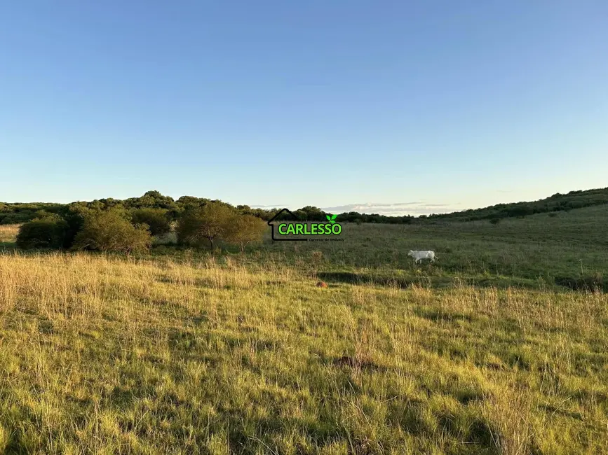 Fazenda / Haras com 2 quartos à venda, 70m2 em Alegrete - RS - imagem 1 Foto 1 de Fazenda / Haras com 2 quartos à venda, 70m2 em Alegrete - RS