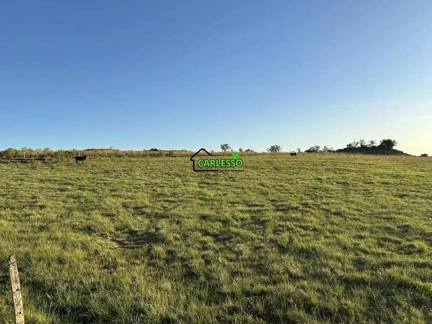 Fazenda / Haras com 2 quartos à venda, 70m2 em Alegrete - RS - imagem 2 Foto 2 de Fazenda / Haras com 2 quartos à venda, 70m2 em Alegrete - RS