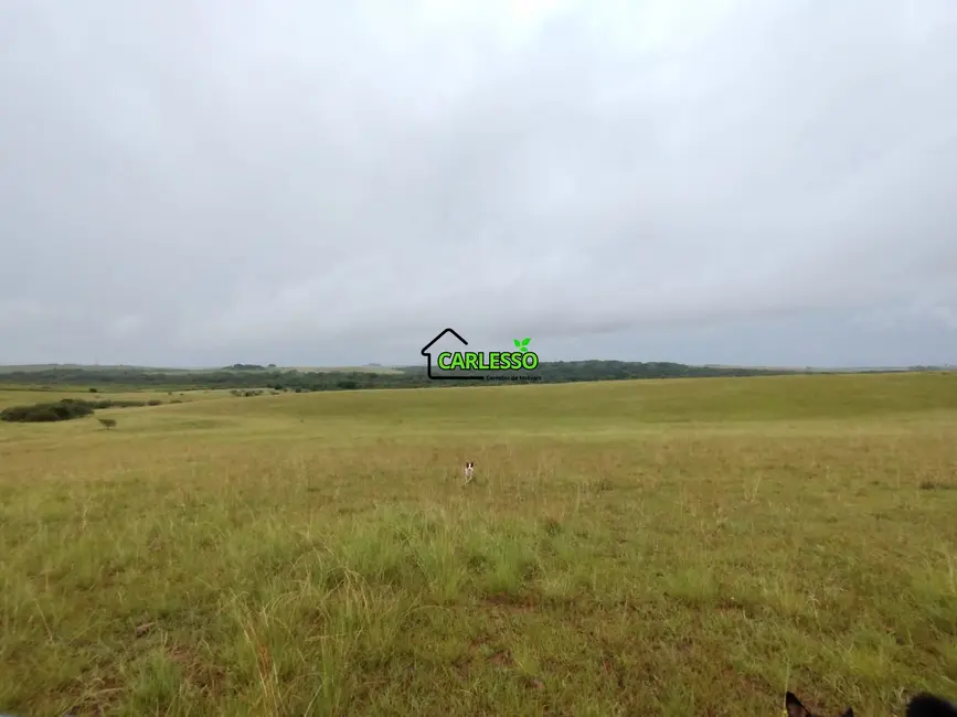 Foto 7 de Fazenda / Haras com 2 quartos à venda, 70m2 em Alegrete - RS
