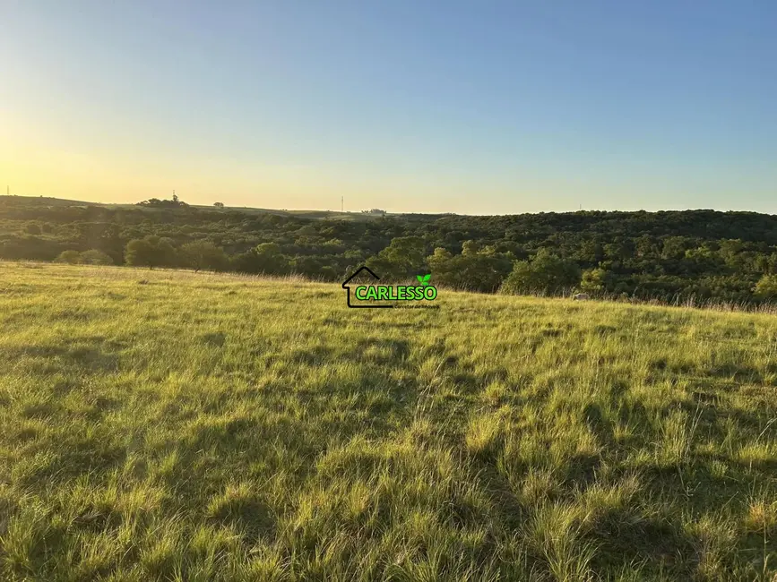 Fazenda / Haras com 2 quartos à venda, 70m2 em Alegrete - RS - imagem 3 Foto 3 de Fazenda / Haras com 2 quartos à venda, 70m2 em Alegrete - RS