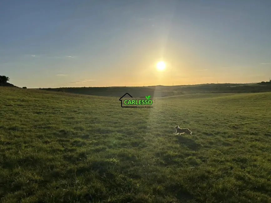 Fazenda / Haras com 2 quartos à venda, 70m2 em Alegrete - RS - imagem 8 Foto 8 de Fazenda / Haras com 2 quartos à venda, 70m2 em Alegrete - RS