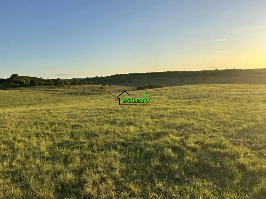 Fazenda / Haras com 2 quartos à venda, 70m2 em Alegrete - RS - imagem 5 Foto 5 de Fazenda / Haras com 2 quartos à venda, 70m2 em Alegrete - RS