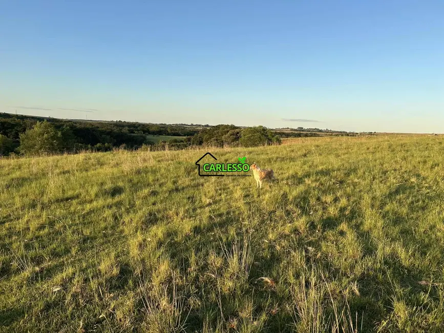 Fazenda / Haras com 2 quartos à venda, 70m2 em Alegrete - RS - imagem 6 Foto 6 de Fazenda / Haras com 2 quartos à venda, 70m2 em Alegrete - RS