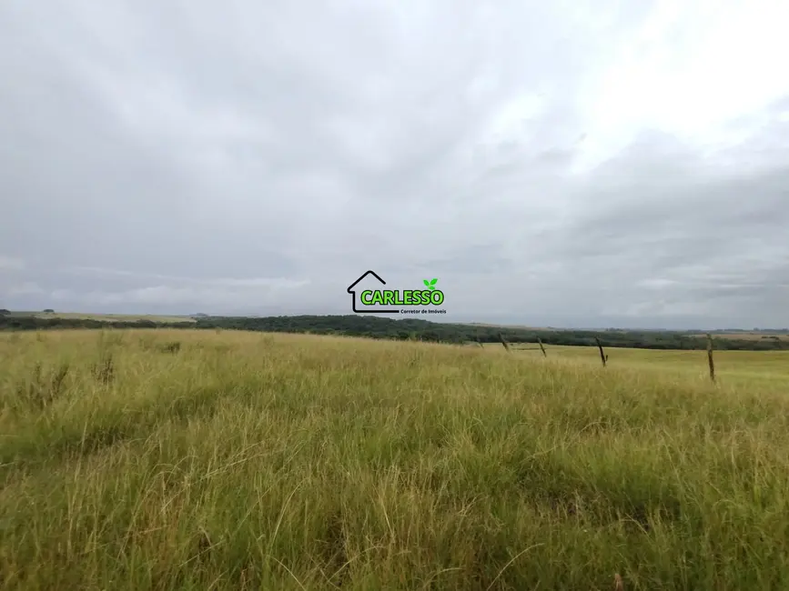 Foto 9 de Fazenda / Haras com 2 quartos à venda, 70m2 em Alegrete - RS