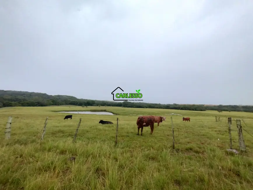 Foto 3 de Fazenda / Haras com 2 quartos à venda, 70m2 em Alegrete - RS