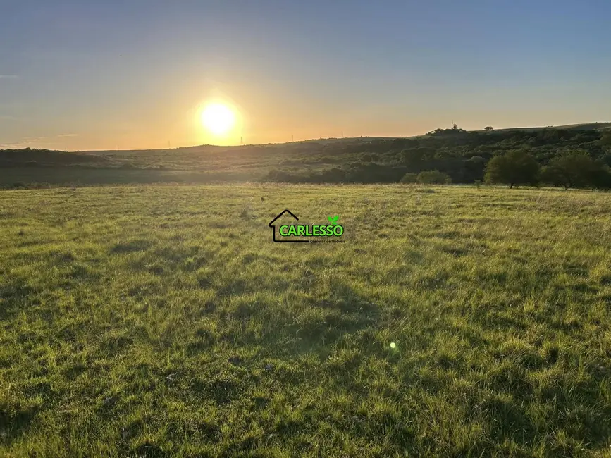 Fazenda / Haras com 2 quartos à venda, 70m2 em Alegrete - RS - imagem 9 Foto 9 de Fazenda / Haras com 2 quartos à venda, 70m2 em Alegrete - RS