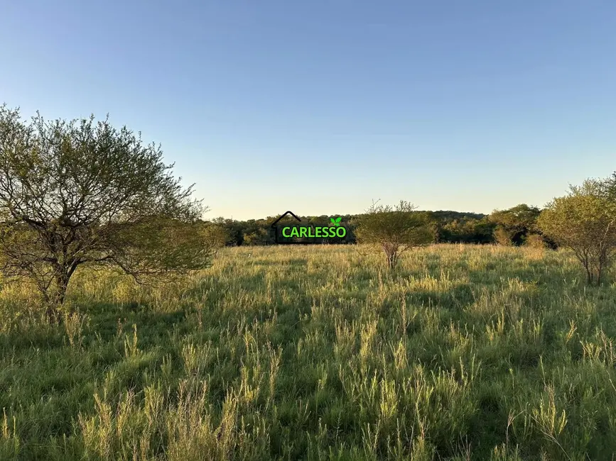 Fazenda / Haras com 2 quartos à venda, 70m2 em Alegrete - RS - imagem 7 Foto 7 de Fazenda / Haras com 2 quartos à venda, 70m2 em Alegrete - RS