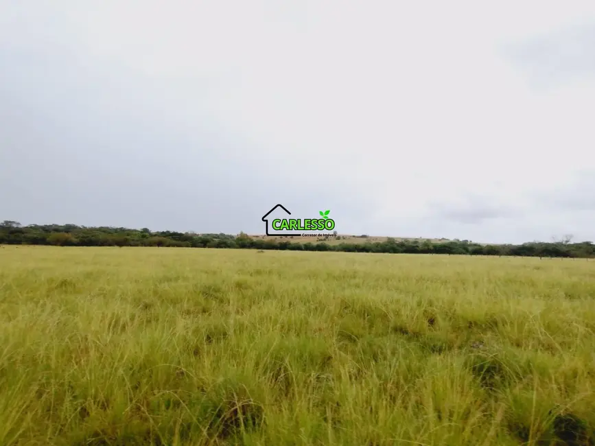 Foto 6 de Fazenda / Haras com 2 quartos à venda, 70m2 em Alegrete - RS