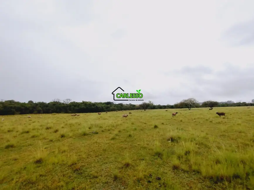 Foto 5 de Fazenda / Haras com 2 quartos à venda, 70m2 em Alegrete - RS