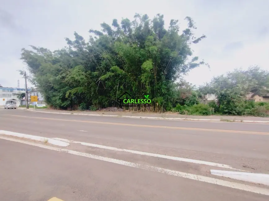 Foto 7 de Terreno / Lote à venda, 1180m2 em Boi Morto, Santa Maria - RS