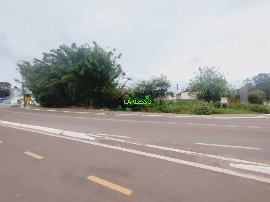 Foto 5 de Terreno / Lote à venda, 1180m2 em Boi Morto, Santa Maria - RS