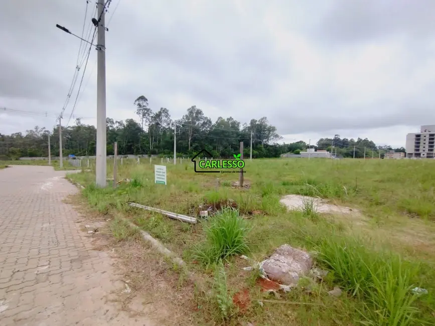 Foto 3 de Terreno / Lote à venda, 727m2 em Camobi, Santa Maria - RS