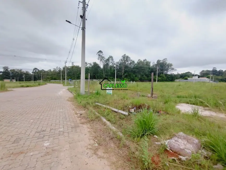 Foto 4 de Terreno / Lote à venda, 727m2 em Camobi, Santa Maria - RS