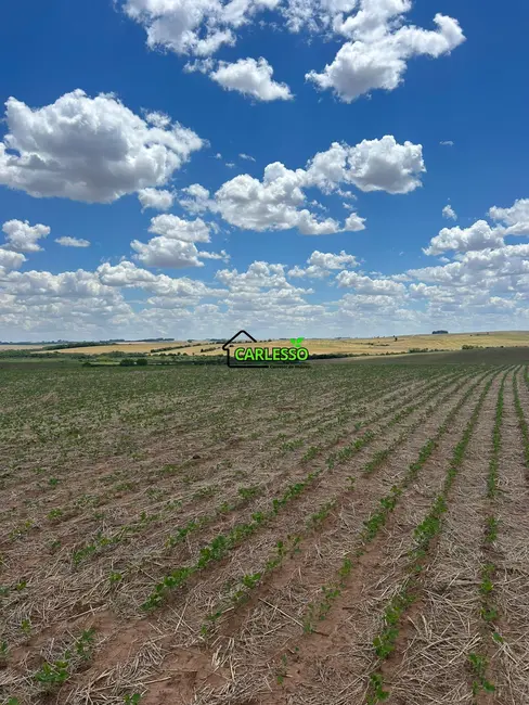 Foto 4 de Fazenda / Haras com 6 quartos à venda, 300m2 em Boa Vista Do Incra - RS